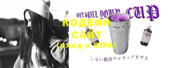 соль ск Переславль-Залесский