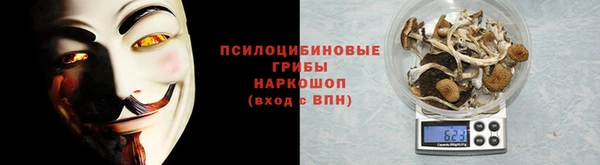 соль ск Переславль-Залесский