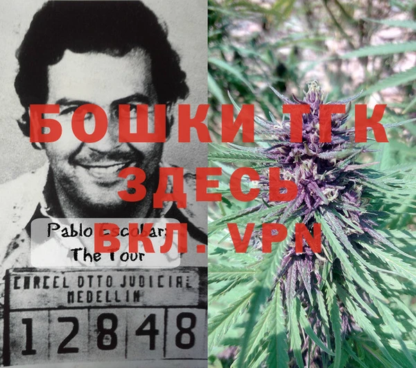 мет Бородино