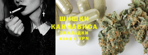 Альфа ПВП Пересвет